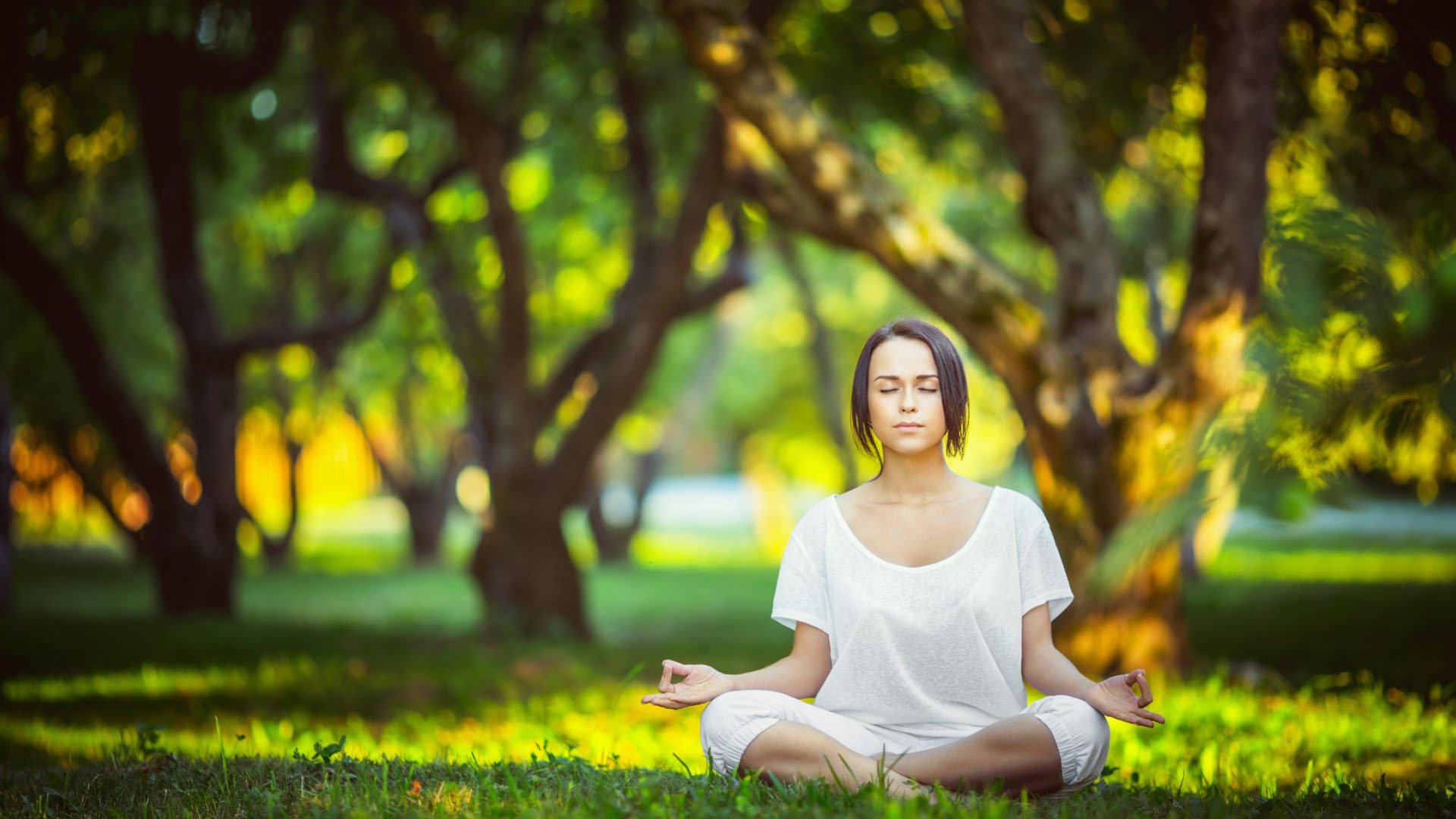 双线鏖战！字母哥巅峰对决，穆古鲁扎激战篮网90分钟挺进下一轮胜负难料